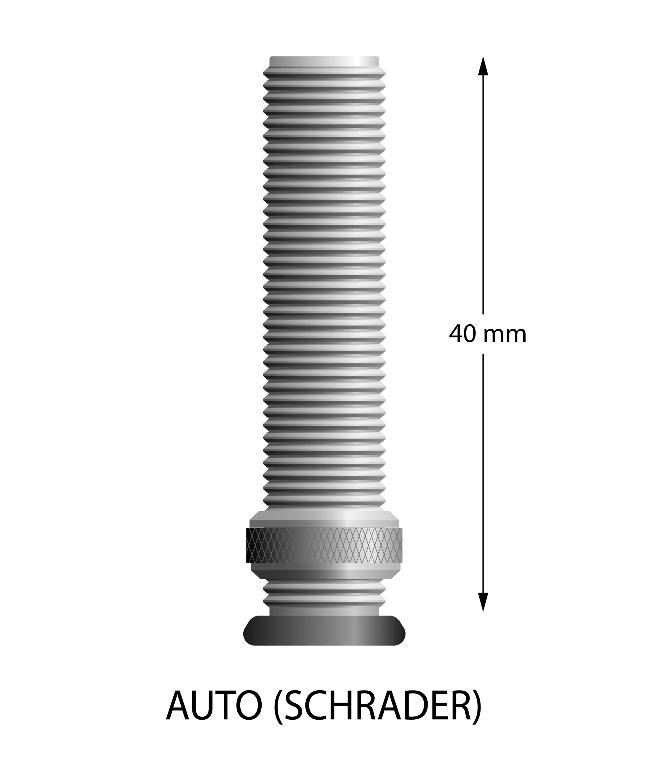 fe433203fbd6511e032a4df1584510b4